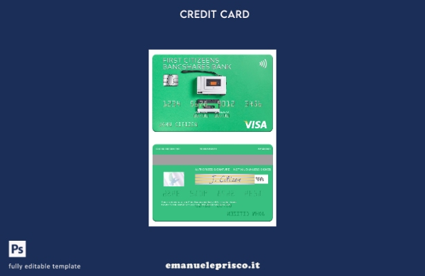modello di carta visto USA First Citizens BancShares Bank in stile verificato
